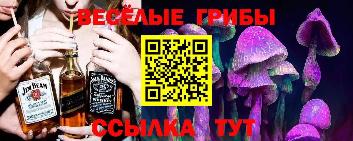 Галлюциногенные грибы Psilocybe Химки